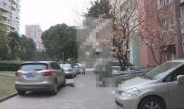 日照小区爆料事件视频,视频揭露惊人真相，居民生活大揭秘